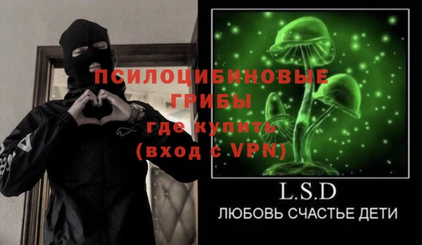 дурь Заволжск