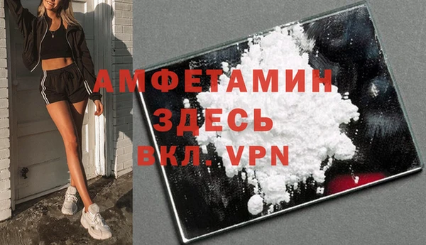 шишки Инсар
