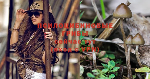 винт Заволжье