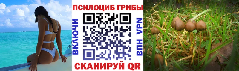 Купить Верхняя Тура Псилоцибиновые грибы ЛСД